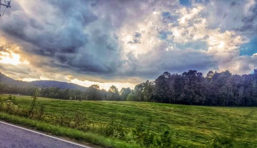 Scenic view of field against sky