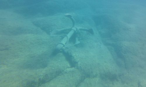 Man swimming in sea