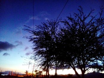 Low angle view of silhouette trees against sky