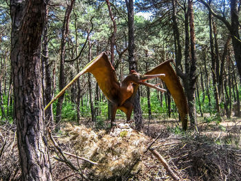 Horse in a forest