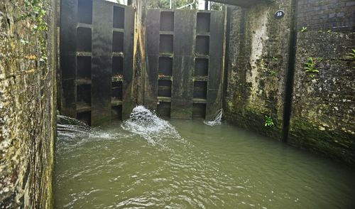 View of ducks swimming in river