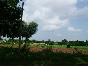 Scenic view of agricultural field against sky