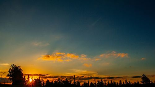 Panoramic view of trees against sky during sunset