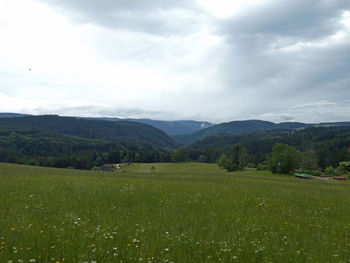 Scenic view of field against sky