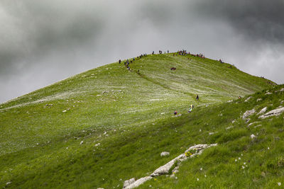 Scenic view of land against sky