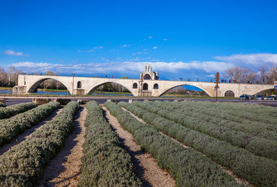 Arch bridge on field against sky