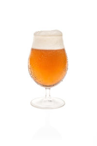 Close-up of beer glass against white background