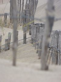 Fence on sand
