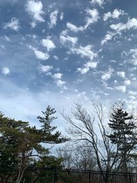 Low angle view of trees against sky