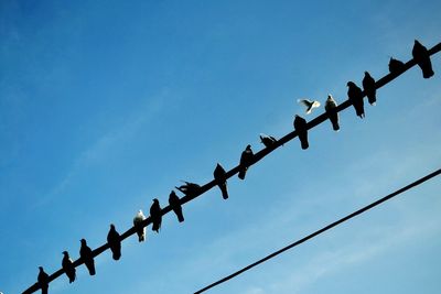 Low angle view of barbed wire against sky