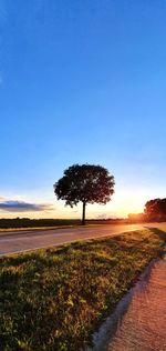 Scenic view of field against clear sky at sunset