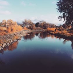 Scenic view of river by plant against sky during autumn