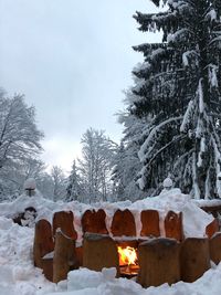 Trees on snow covered field against sky