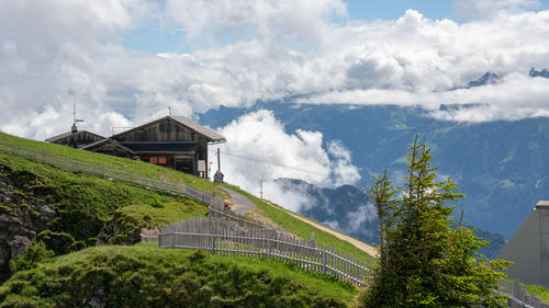 Panoramic shot of trees and buildings against sky