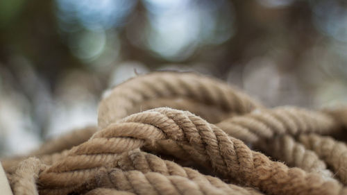 Close-up of rope tied outdoors