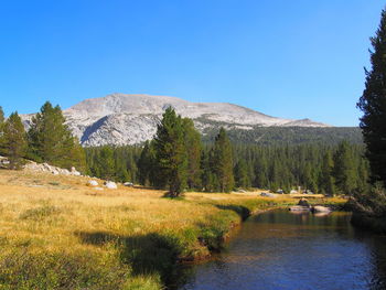 Scenic view of landscape against clear blue sky