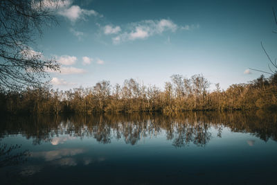 Reflection of trees in lake against sky