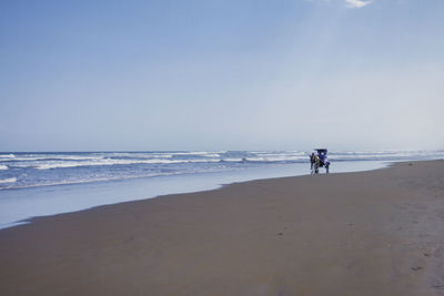 Horse cart at beach against sky