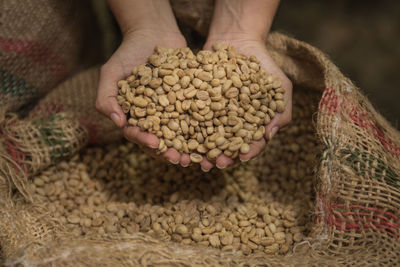 Close-up of man holding coffee beans