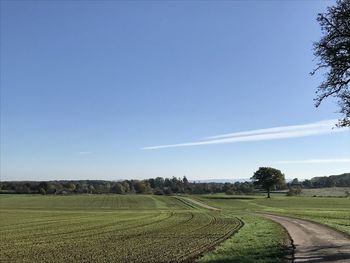 Scenic view of agricultural field against blue sky