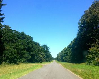 Empty road along trees