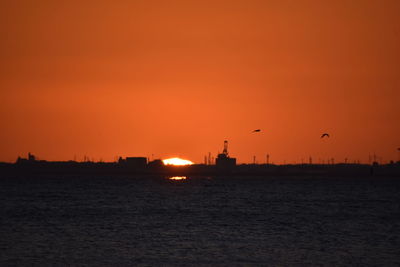 Silhouette birds flying over sea against orange sky