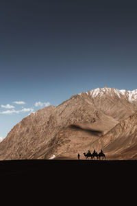 People riding camels at desert