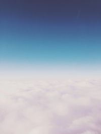 Low angle view of trees against blue sky