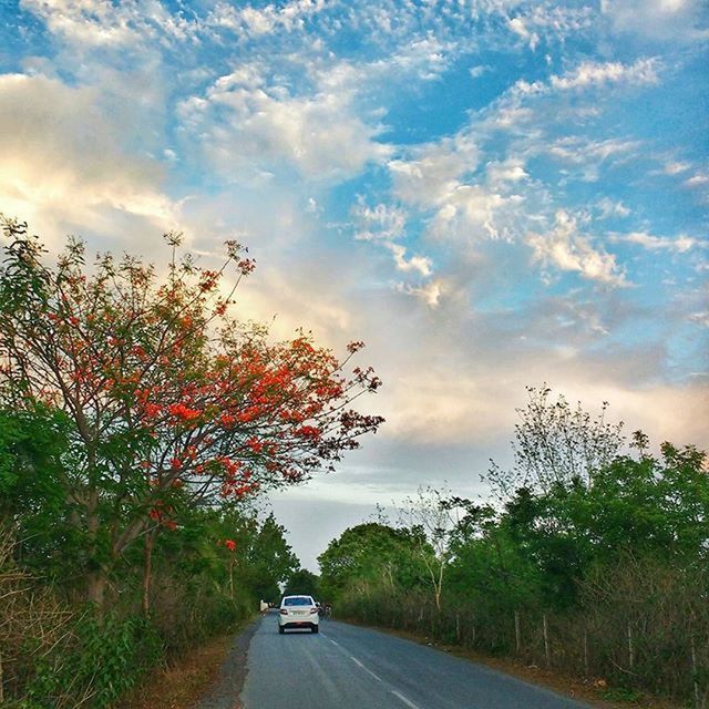 transportation, car, road, land vehicle, mode of transport, sky, the way forward, tree, road marking, cloud - sky, street, on the move, diminishing perspective, cloud, country road, vanishing point, cloudy, nature, travel, outdoors