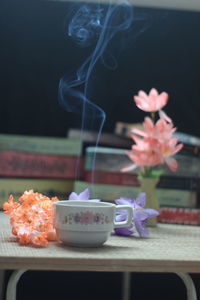 Close-up of potted plant on table