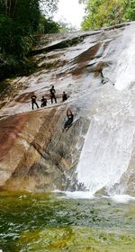People in water at shore