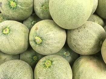 Full frame shot of cantaloupes for sale at market stall 