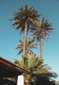 Low angle view of palm tree against clear blue sky