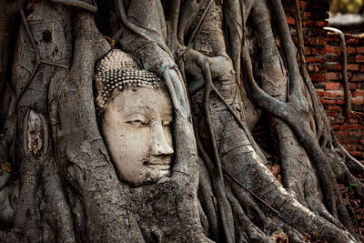 Sculpture of buddha statue at temple