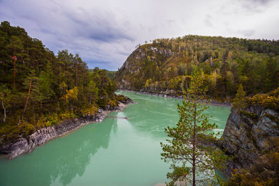 Scenic view of river amidst trees against sky