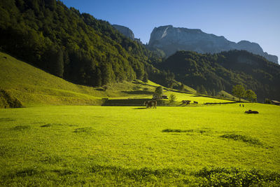 Scenic view of landscape and mountains against sky