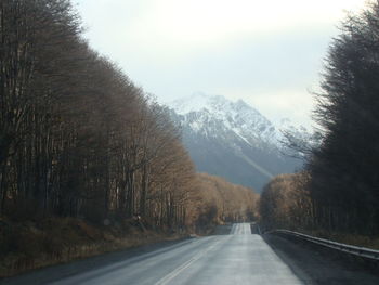 Road amidst trees and snowcapped mountains against sky