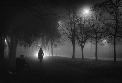 Silhouette people on illuminated street amidst trees at night