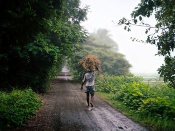 Rear view of woman walking on road amidst trees