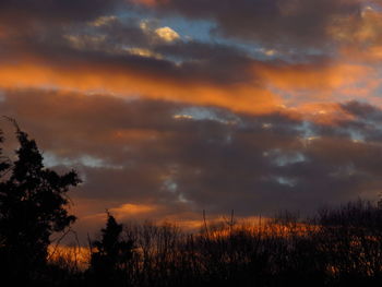 Silhouette trees against dramatic sky during sunset