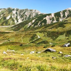 Scenic view of landscape against clear sky