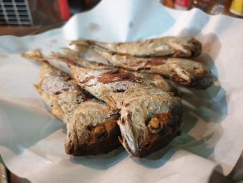 High angle view of dead fish on table