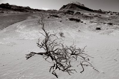Scenic view of desert against sky