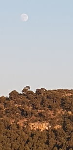 Scenic view of desert against clear sky