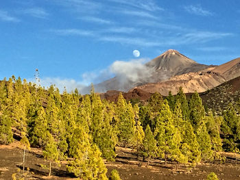 Scenic view of trees and mountains against sky