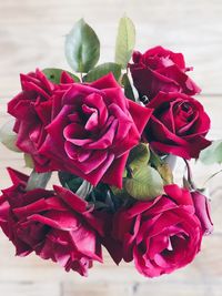 Close-up of red flowers