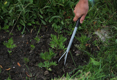 Man working on plants