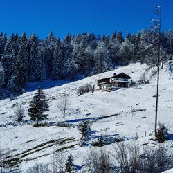 Snow covered house and trees against sky