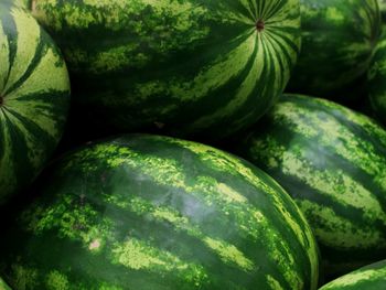 Full frame shot of green fruits for sale in market