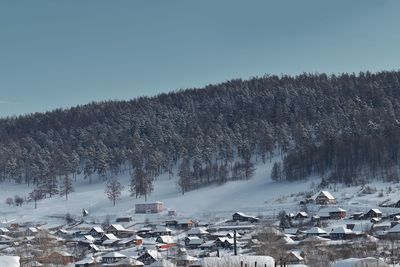 Snow covered trees and buildings against sky